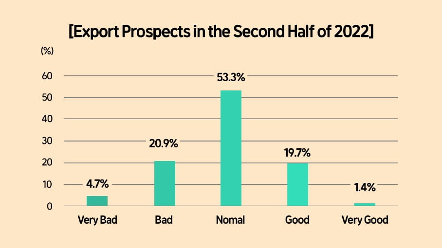 Export Prospects in the Second Half of 2022