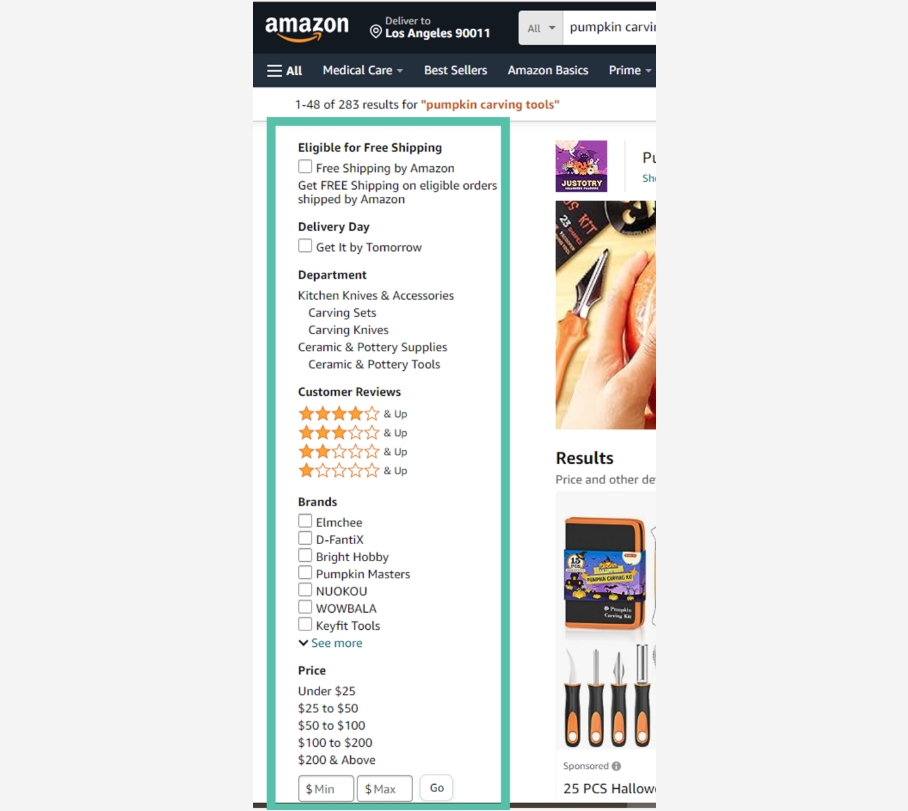 Amazon Search Filter